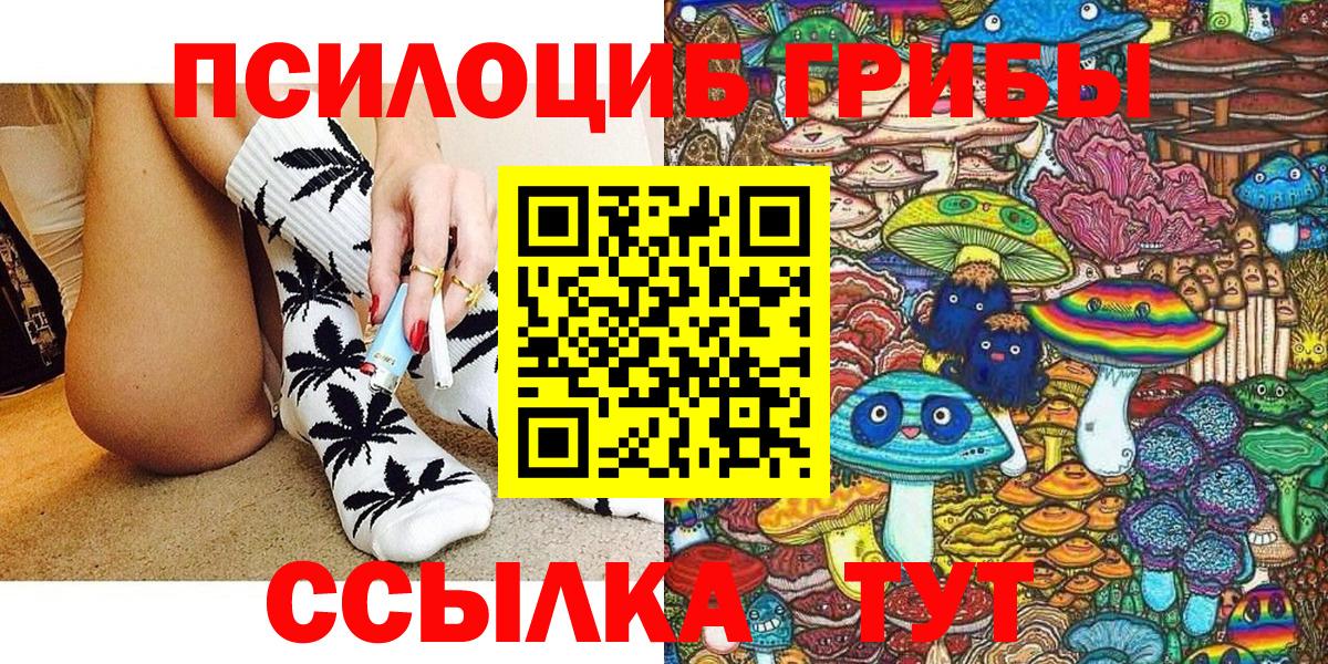 Псилоцибиновые грибы прущие грибы  Псилоцибиновые грибы Psilocybine cubensis  Кингисепп  Вход с VPN 